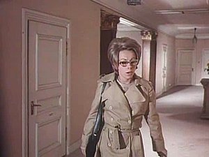 Vintage Bushy Glasses Nerd Swedish Secretary