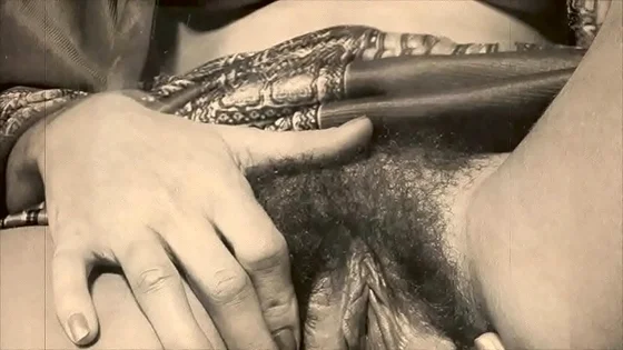 pussy